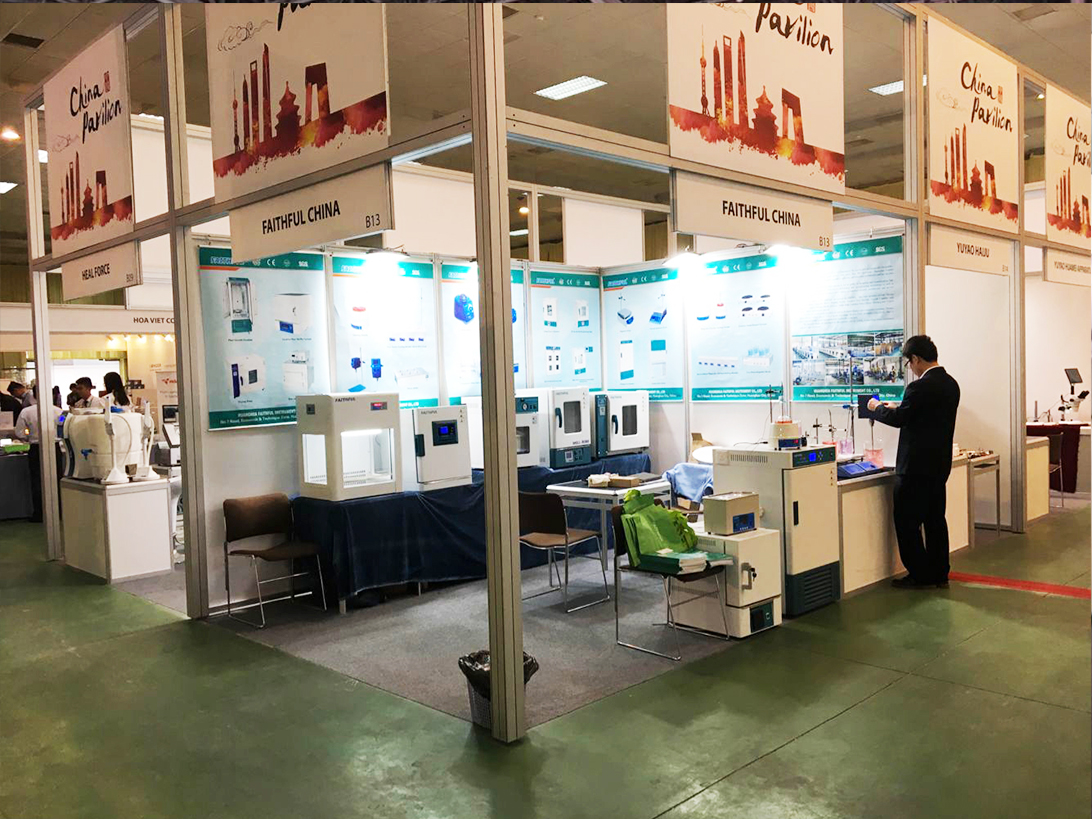 2017 Vietnam analytique