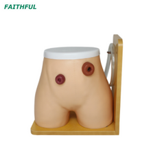 Modèle de soins infirmiers de l'ostomie XC-456