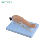 XC-485 Advanced Infant Venipuncture Jame