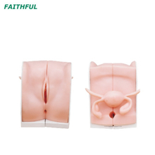 Modèle de guidage de la contraception XC-417