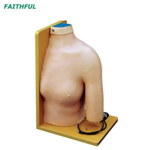Modèle d'injection intracavitaire articulaire de l'épaule XC-452