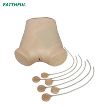 Modèle XC-464 Ponction abdominale