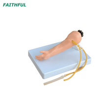 XC-484 Advanced Infant Venipuncture Bras