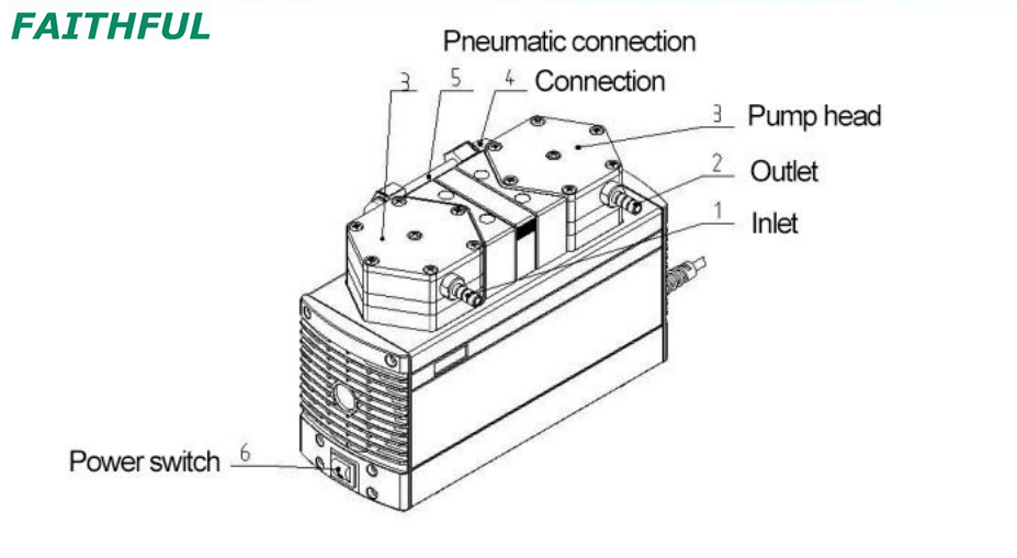 Pompe à vide à membrane P20